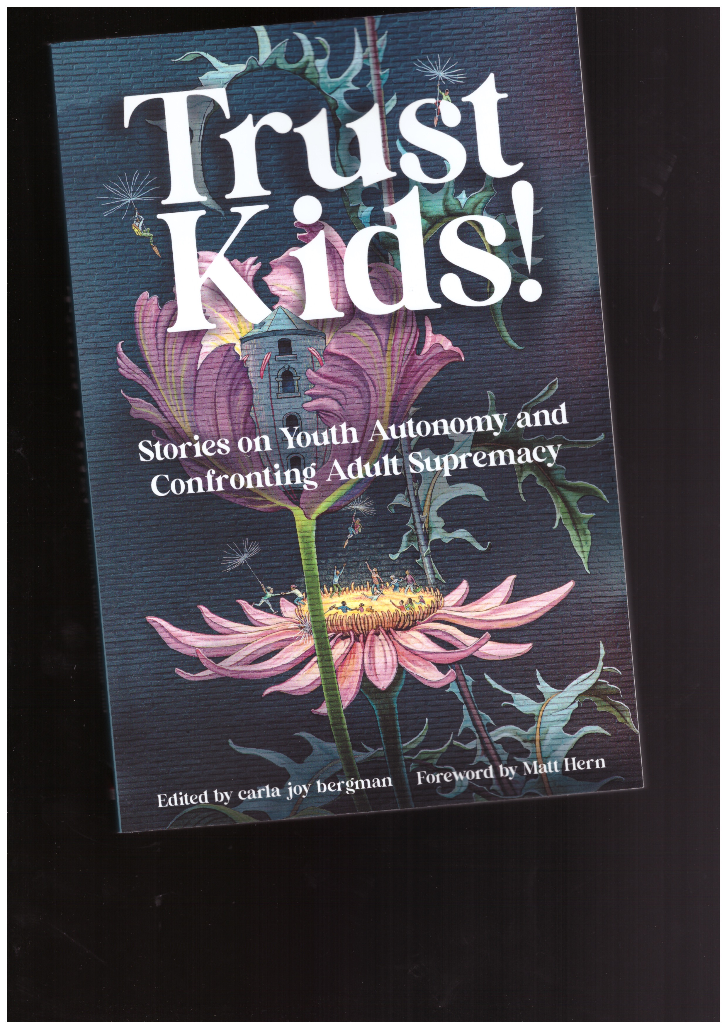 bergman, carla joy (ed.) - Trust Kids! Stories on Youth Autonomy